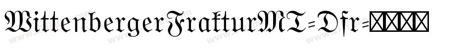 WittenbergerFrakturMT-Dfr字体转换