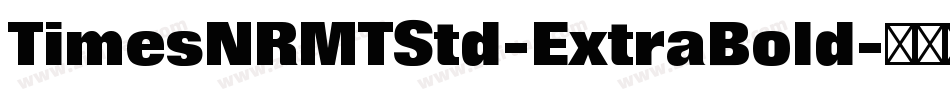 TimesNRMTStd-ExtraBold字体转换