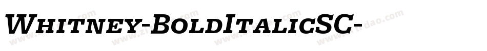 Whitney-BoldItalicSC字体转换