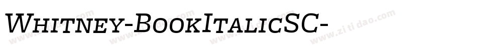 Whitney-BookItalicSC字体转换