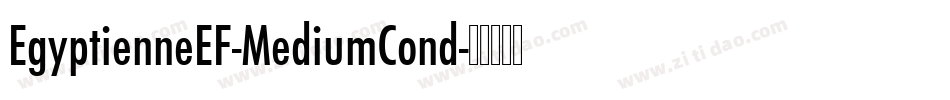 EgyptienneEF-MediumCond字体转换