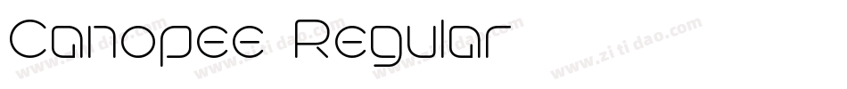 Canopee-Regular字体转换