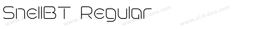 SnellBT-Regular字体转换
