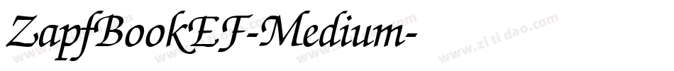 ZapfBookEF-Medium字体转换