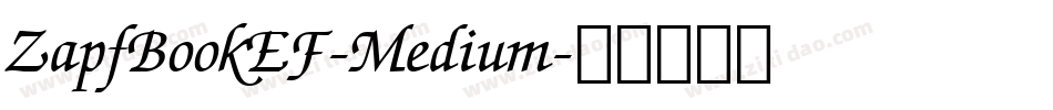 ZapfBookEF-Medium字体转换