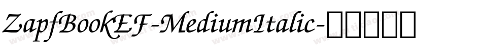 ZapfBookEF-MediumItalic字体转换