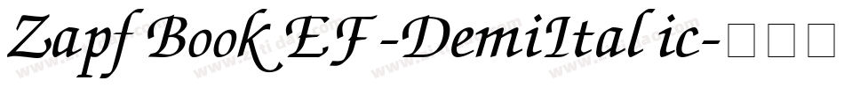 ZapfBookEF-DemiItalic字体转换