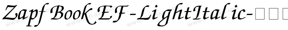 ZapfBookEF-LightItalic字体转换