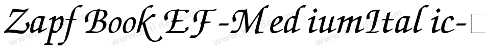 ZapfBookEF-MediumItalic字体转换