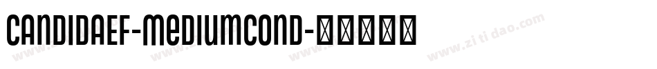 CandidaEF-MediumCond字体转换