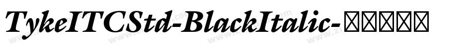 TykeITCStd-BlackItalic字体转换