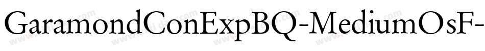 GaramondConExpBQ-MediumOsF字体转换