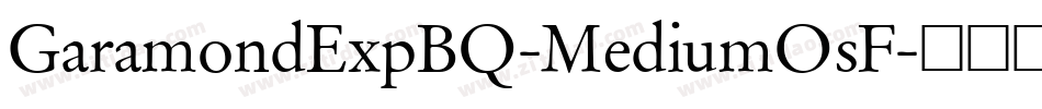 GaramondExpBQ-MediumOsF字体转换