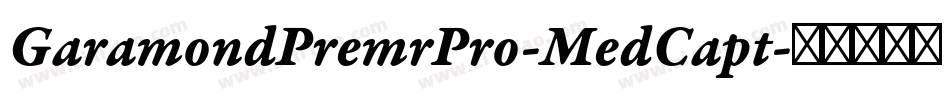 GaramondPremrPro-MedCapt字体转换