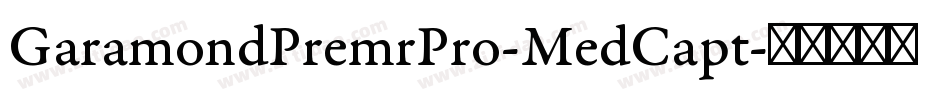GaramondPremrPro-MedCapt字体转换
