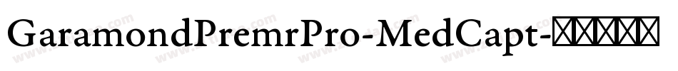 GaramondPremrPro-MedCapt字体转换