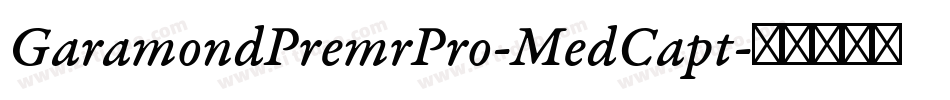 GaramondPremrPro-MedCapt字体转换