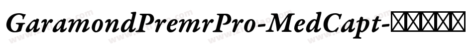 GaramondPremrPro-MedCapt字体转换