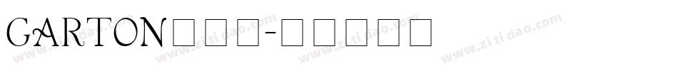 GARTON手机版字体转换