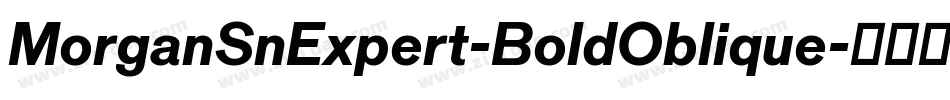 MorganSnExpert-BoldOblique字体转换