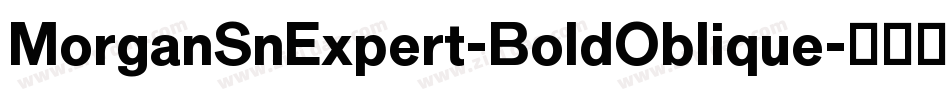 MorganSnExpert-BoldOblique字体转换