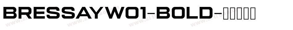 BressayW01-Bold字体转换