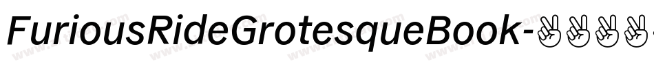 FuriousRideGrotesqueBook字体转换