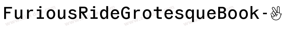 FuriousRideGrotesqueBook字体转换