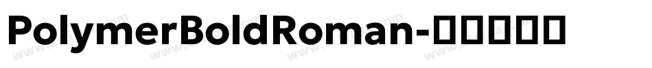 PolymerBoldRoman字体转换