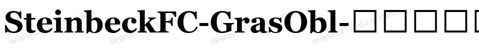 SteinbeckFC-GrasObl字体转换