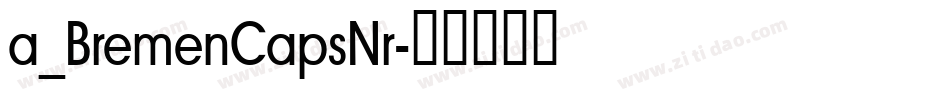 a_BremenCapsNr字体转换