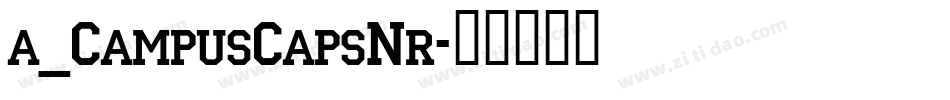 a_CampusCapsNr字体转换