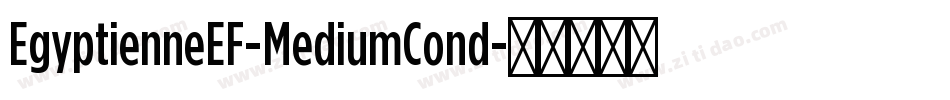 EgyptienneEF-MediumCond字体转换