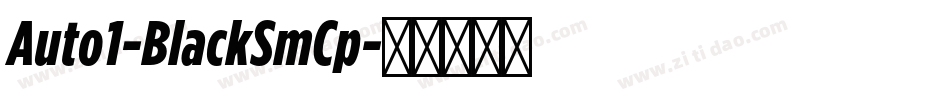 Auto1-BlackSmCp字体转换