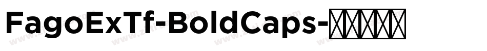FagoExTf-BoldCaps字体转换