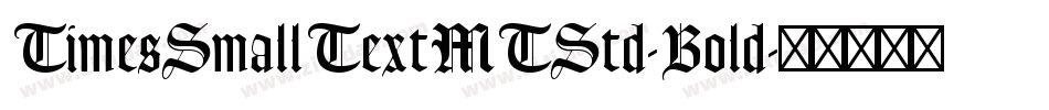 TimesSmallTextMTStd-Bold字体转换