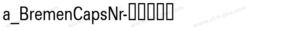 a_BremenCapsNr字体转换