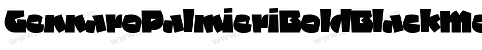 GennaroPalmieriBoldBlackMedium-qpw0字体转换 GennaroPalmieriBoldBlackMedium-qpw0字体转换