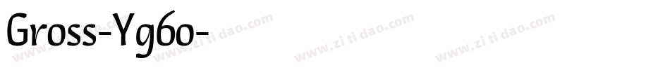 Gross-Yg6o字体转换