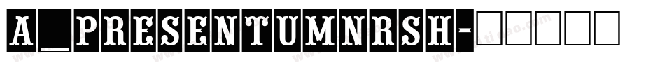 a_PresentumNrSh字体转换