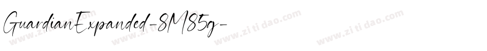 GuardianExpanded-8M85g字体转换