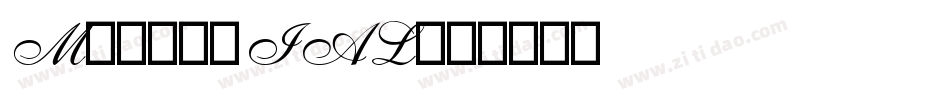MNS_TRIAL字体转换