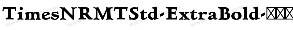 TimesNRMTStd-ExtraBold字体转换
