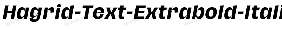 Hagrid-Text-Extrabold-Italic-trial字体转换