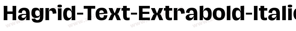 Hagrid-Text-Extrabold-Italic-trial字体转换