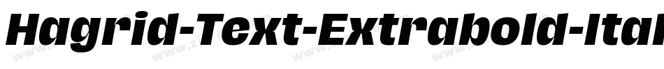 Hagrid-Text-Extrabold-Italic-trial字体转换