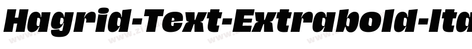 Hagrid-Text-Extrabold-Italic-trial字体转换