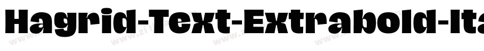 Hagrid-Text-Extrabold-Italic-trial字体转换