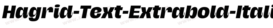 Hagrid-Text-Extrabold-Italic-trial字体转换
