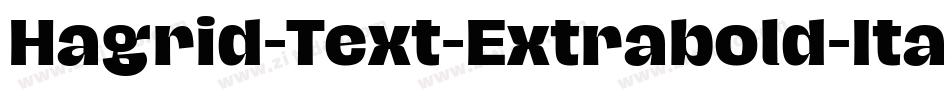 Hagrid-Text-Extrabold-Italic-trial字体转换